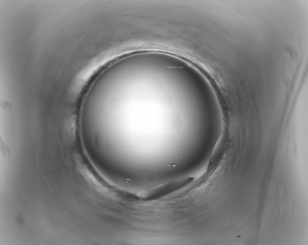 X0000091241503200708091426
