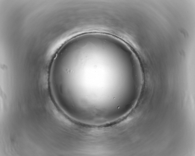 X0000091241504200708091426