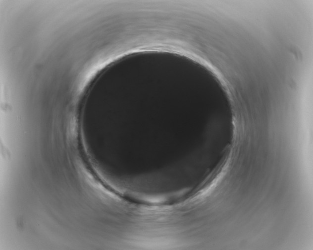 X0000091241506200708091426