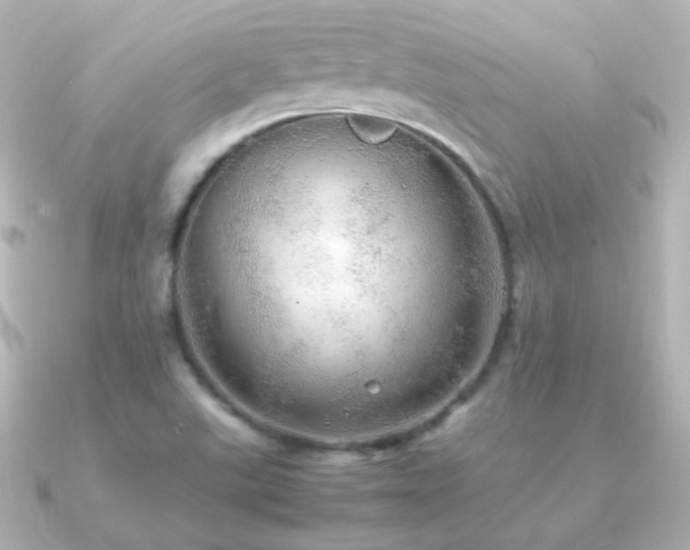 X0000091241507200708091426