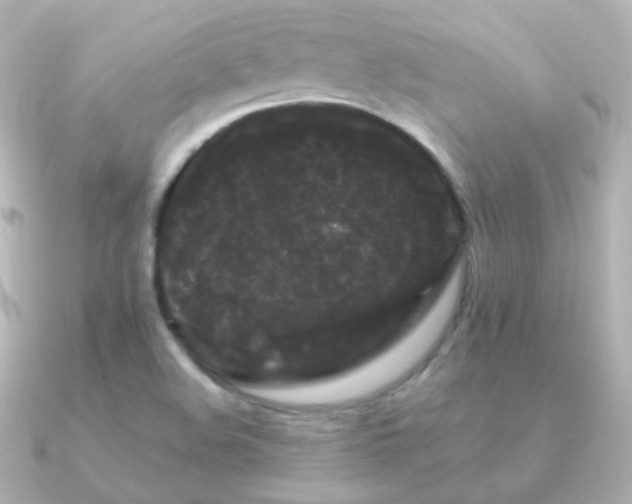 X0000091241508200708091426