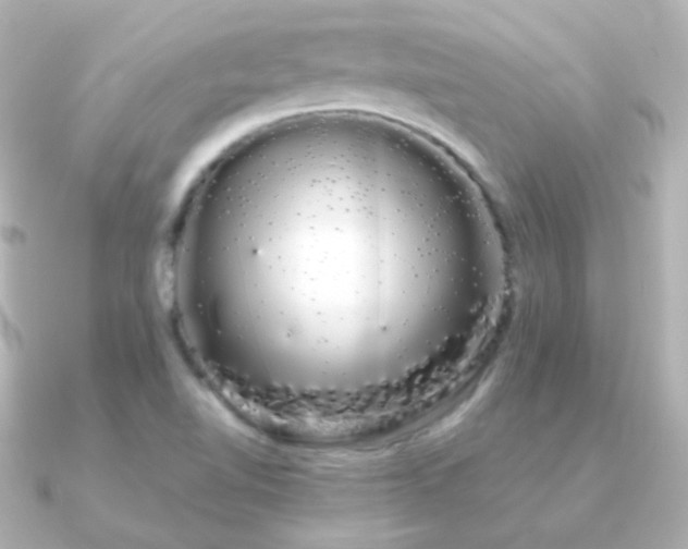 X0000091241510200708091426