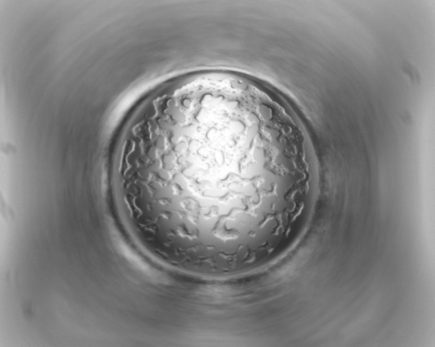 X0000091241511200708091426