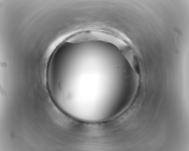 X0000091241512200708091426