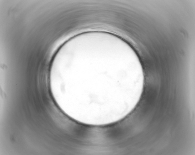 X0000091241514200708091426