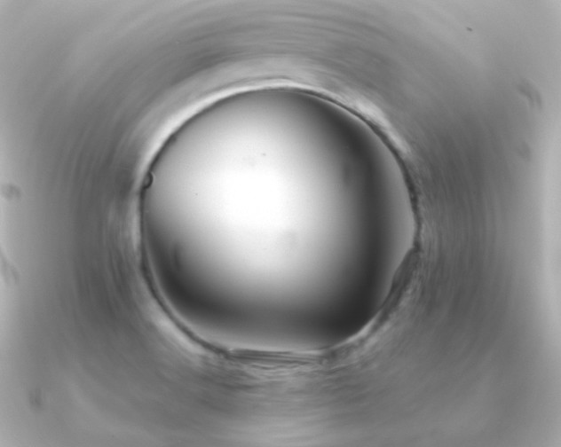 X0000091241516200708091426