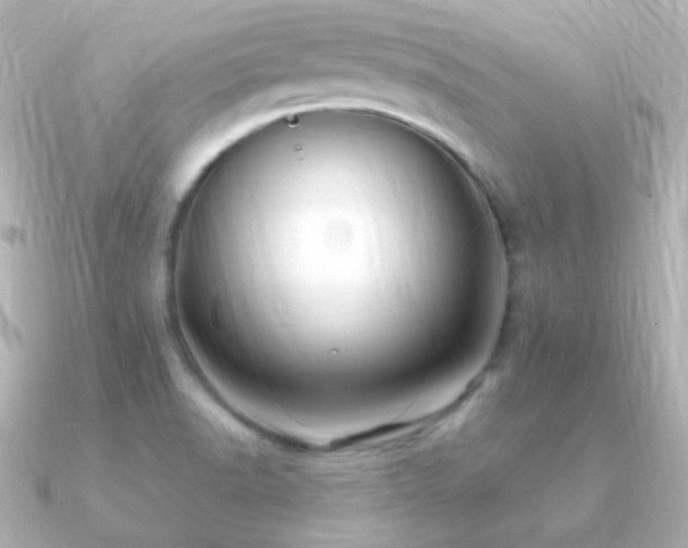 X0000091241518200708091426