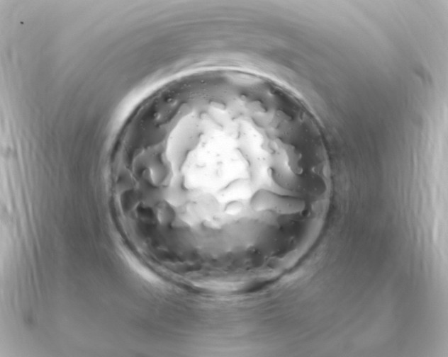 X0000091241519200708091426