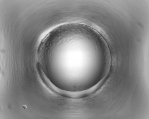 X0000091241520200708091426