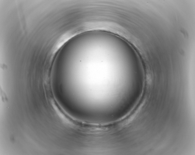 X0000091241521200708091426