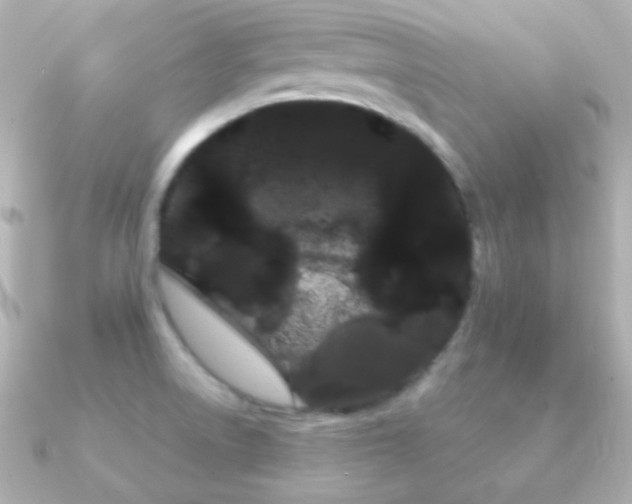 X0000091241522200708091426