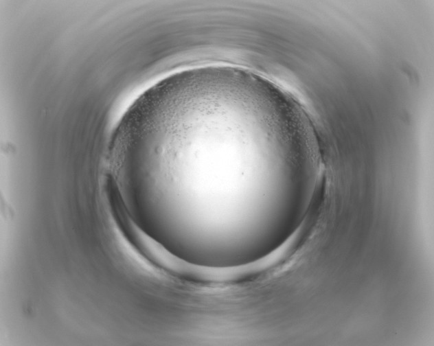 X0000091241524200708091426