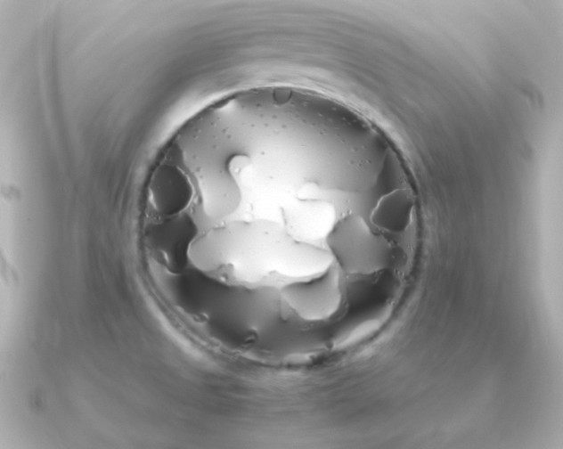 X0000091241525200708091426