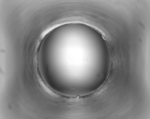 X0000091241526200708091426