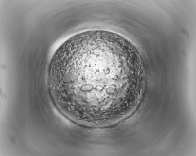 X0000091241527200708091426