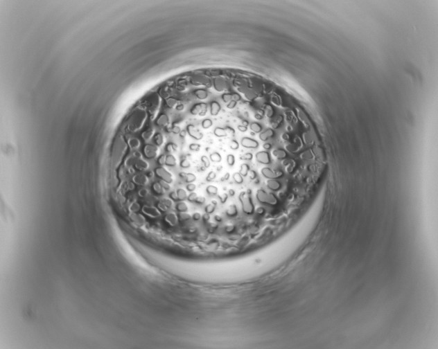 X0000091241528200708091426