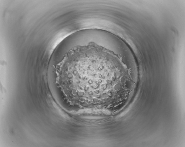 X0000091241529200708091426