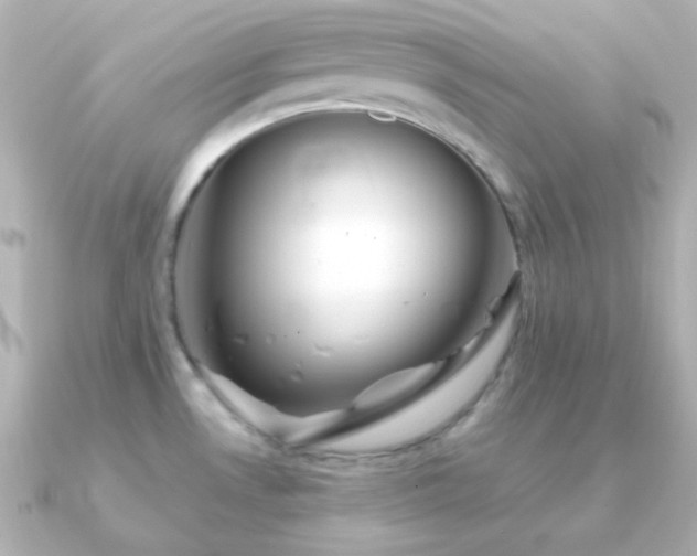 X0000091241530200708091426