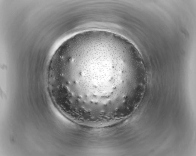 X0000091241531200708091426