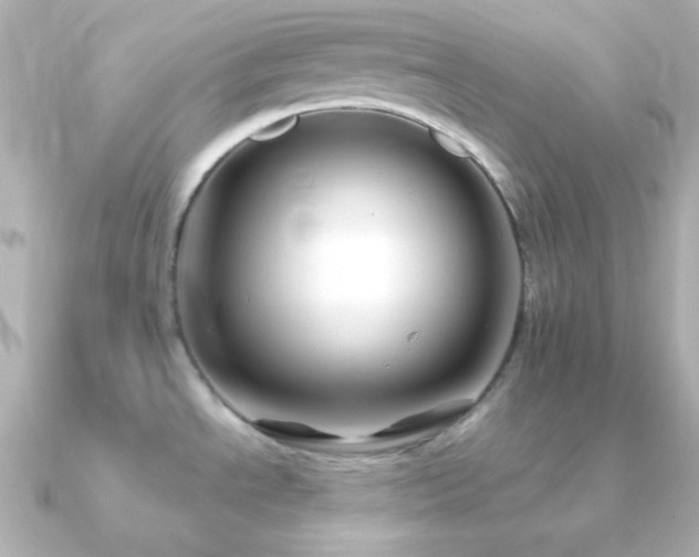 X0000091241534200708091426