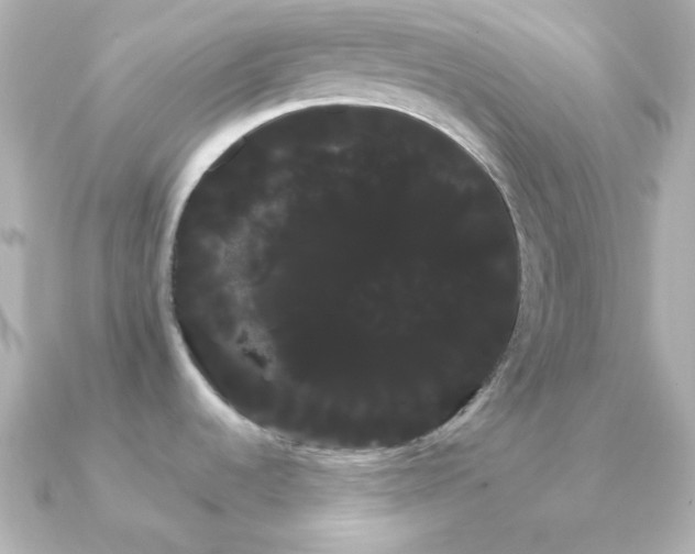 X0000091241536200708091426