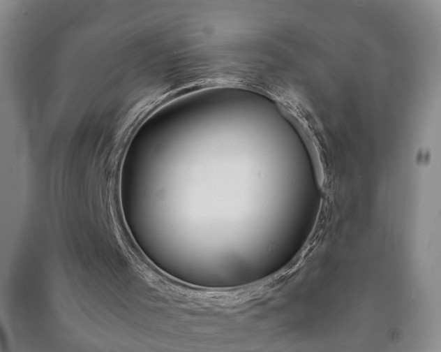 X0000091240001200708161745