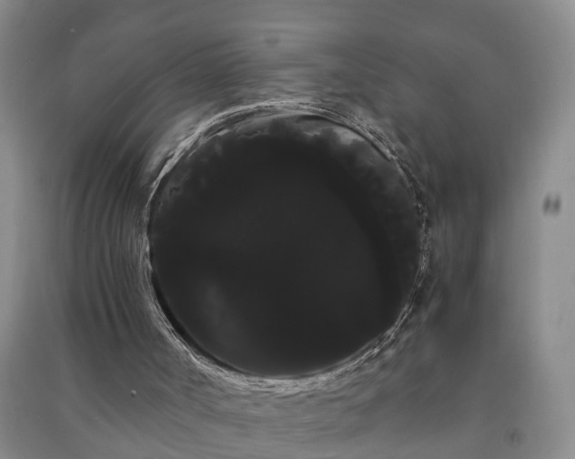 X0000091240002200708161745