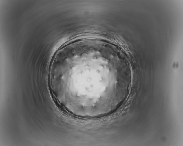 X0000091240003200708161745