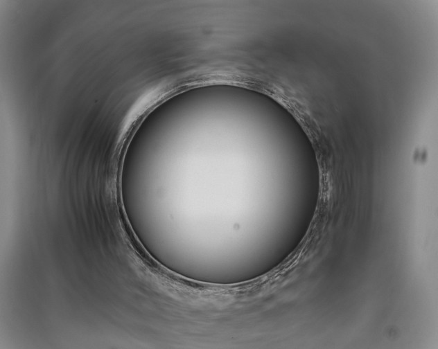X0000091240004200708161745