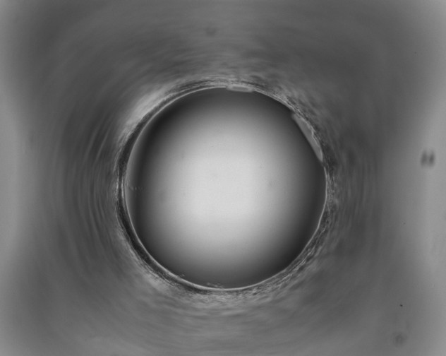 X0000091240005200708161745