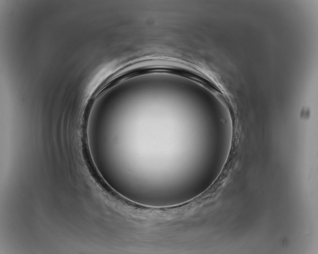 X0000091240007200708161745