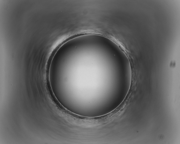 X0000091240008200708161745