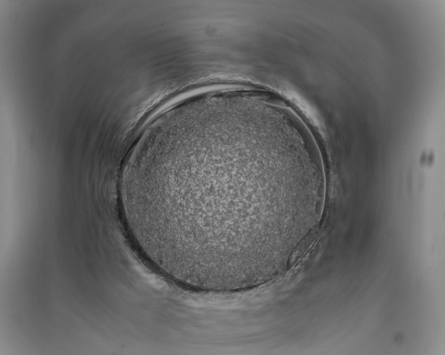 X0000091240009200708161745