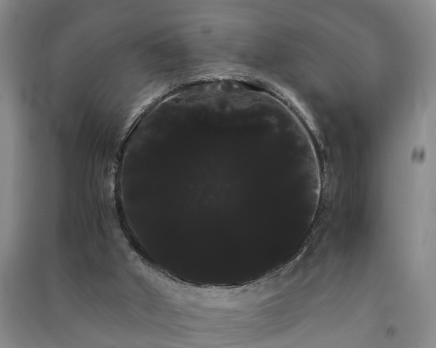 X0000091240010200708161745