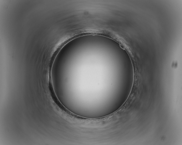 X0000091240011200708161745