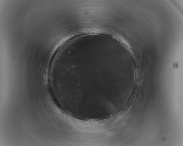 X0000091240012200708161745