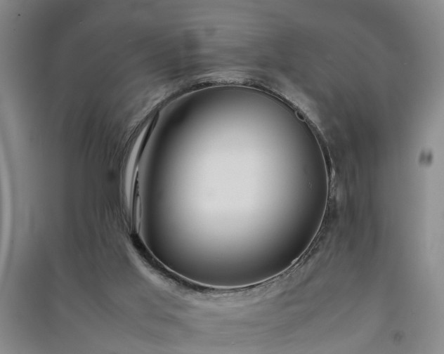 X0000091240013200708161745