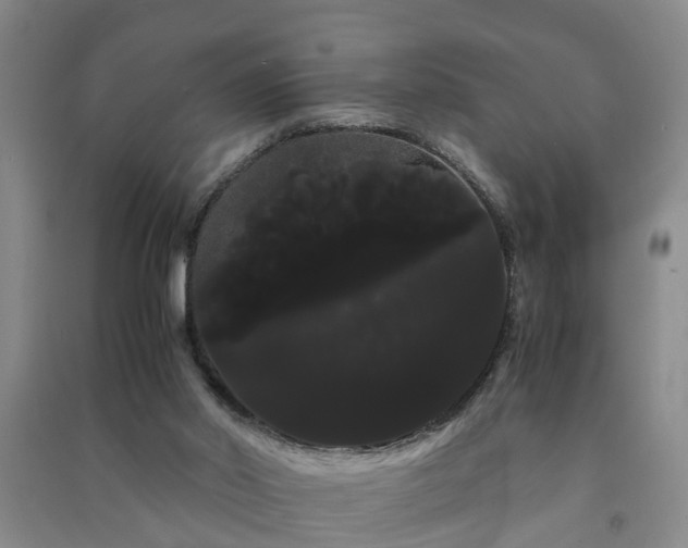 X0000091240014200708161745