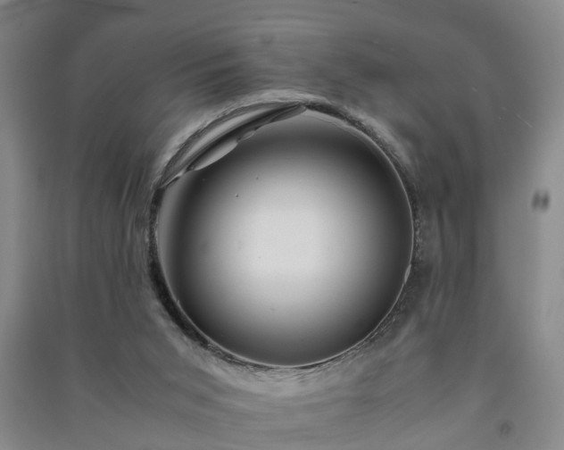 X0000091240015200708161745