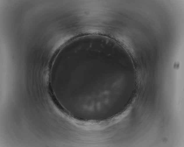 X0000091240016200708161745