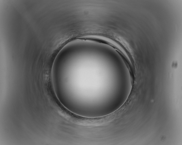 X0000091240017200708161745