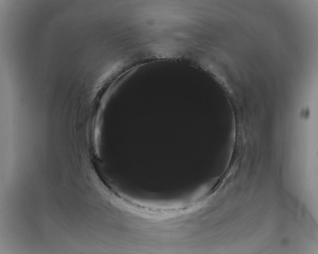 X0000091240019200708161745