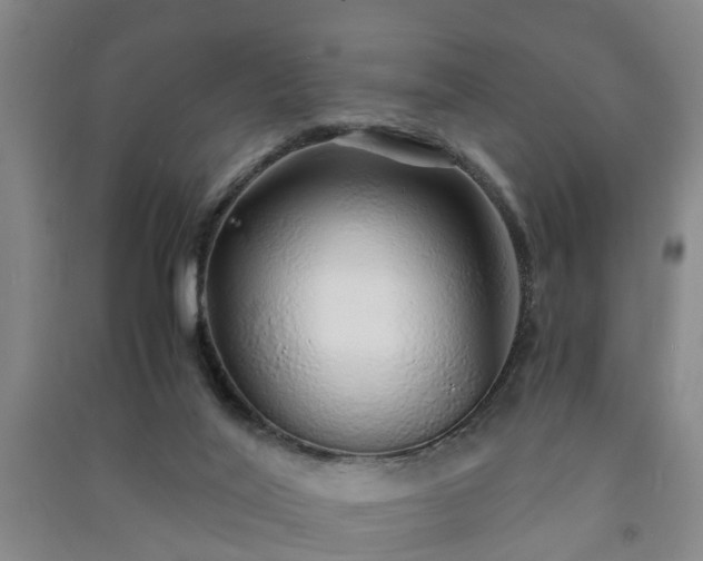 X0000091240020200708161745