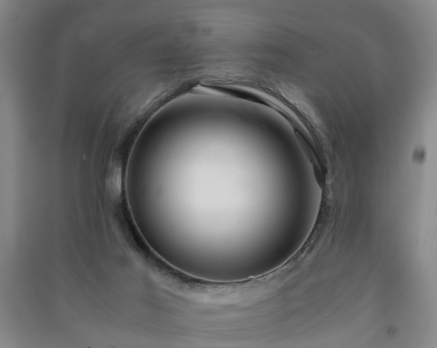 X0000091240021200708161745