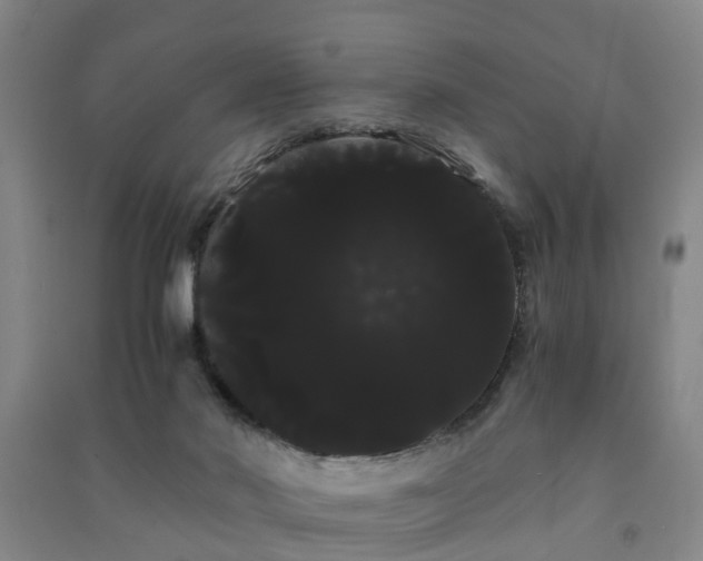X0000091240022200708161745