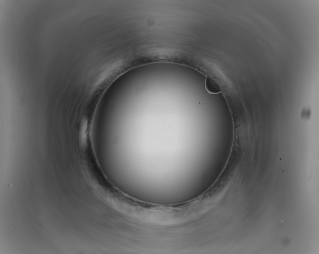X0000091240024200708161745
