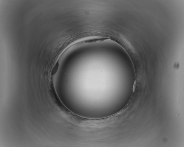 X0000091240025200708161745