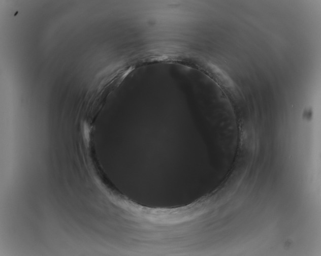X0000091240026200708161745