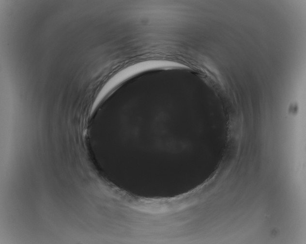 X0000091240029200708161745