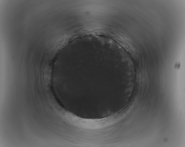 X0000091240030200708161745